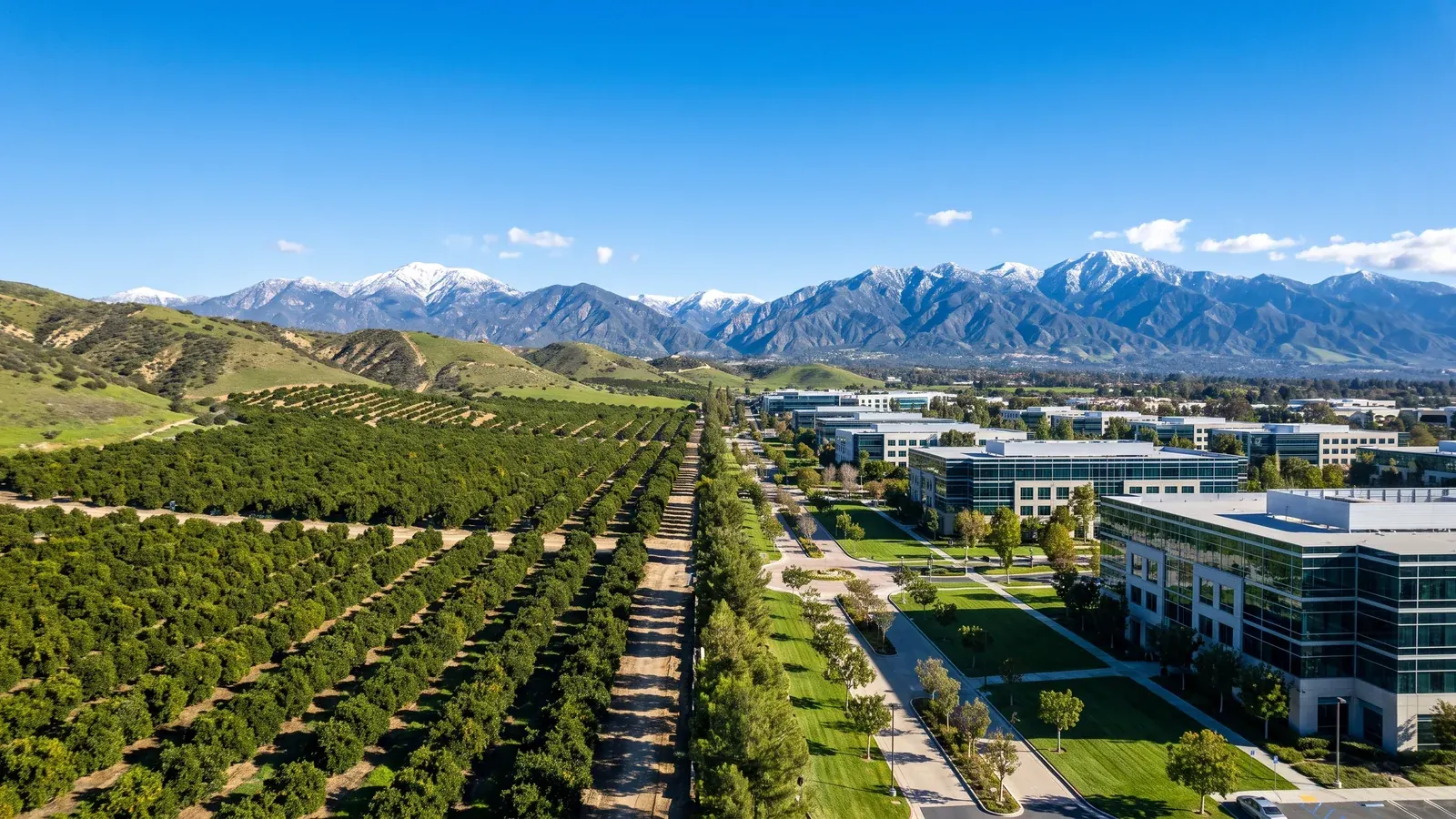 Bright daylight view of a business district in Inland Empire, California, where BrandFamous serves local companies.