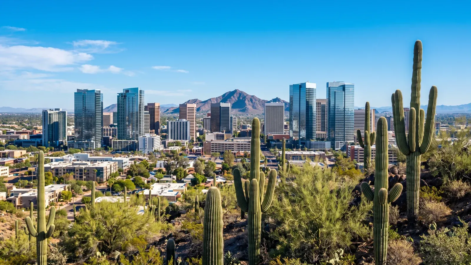Bright daylight view of a business district in Phoenix, Arizona, where BrandFamous serves local companies.